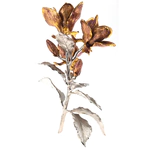 The author's bronze sculpture "Magnolia"