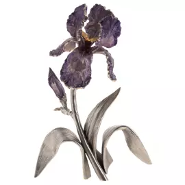 The author's sculpture made of bronze "Iris"