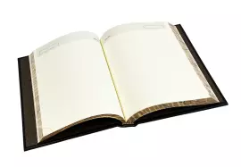 Подарочный набор "Книга успешного руководителя" с ежедневником и ручкой