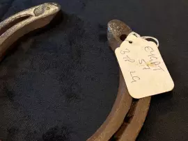 Подкова со свадьбы принца Уильяма и Кэтрин Миддлтон