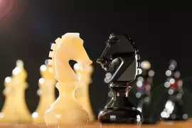 Chess chest made of Karelian birch "Aristocrat"