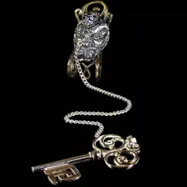 Silver water ionizer "Golden Key"