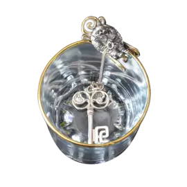 Silver water ionizer "Golden Key"