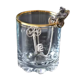 Silver water ionizer "Golden Key"