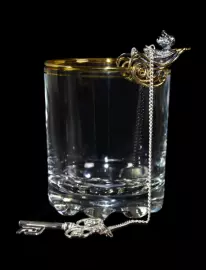 Silver water ionizer "Golden Key"