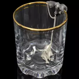 Silver water ionizer "Pussy"