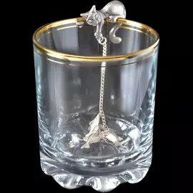 Silver water ionizer "Kotik"