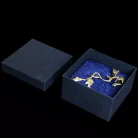 Silver water ionizer "Kotik"