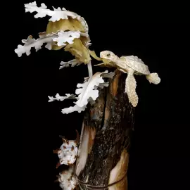 Сувенир из бивня мамонта "Саргассовый мир"