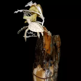 Сувенир из бивня мамонта "Саргассовый мир"