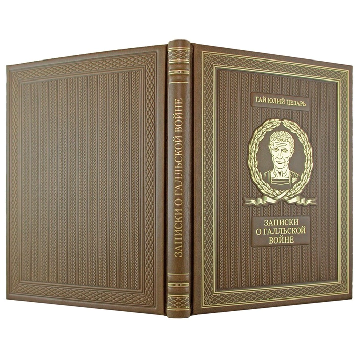 The book "Notes on the Gallic War" by Gaius Julius Caesar