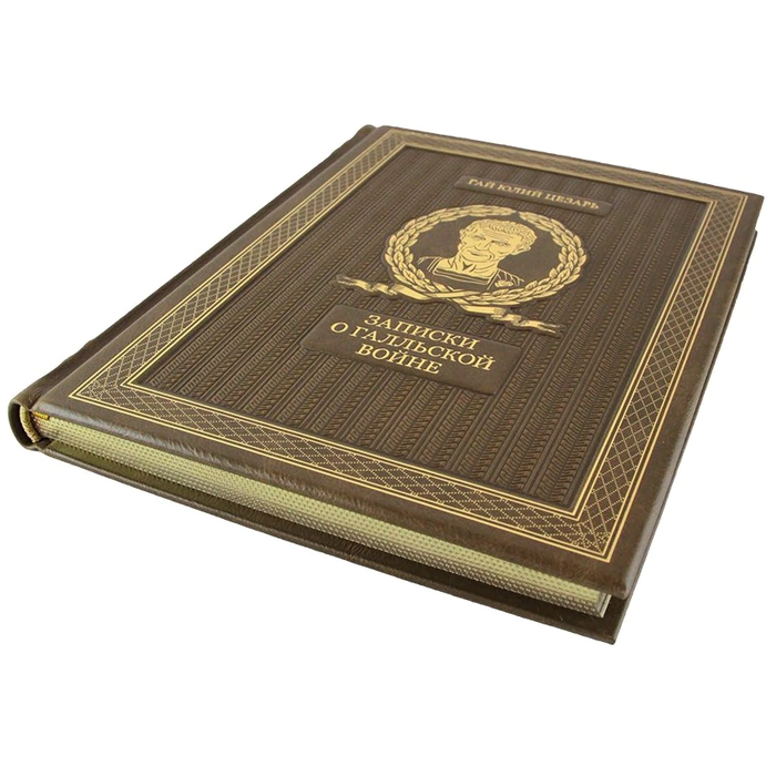 The book "Notes on the Gallic War" by Gaius Julius Caesar