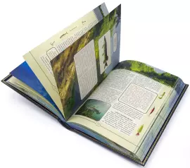 Книга подарочная в кожаном переплете "Рыбалка" Л.П. Сабанеев