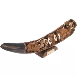 Композиция из бивня мамонта "Охота на мамонтов и шерстистого носорога"