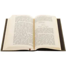 Книга в кожаном переплете "Новейшая история еврейского народа" в футляре Книга в кожаном переплете "Новейшая история еврейского народа" в футляре