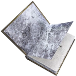 The gift book in a leather cover "The Sovereign" by Niccolo Machiavelli