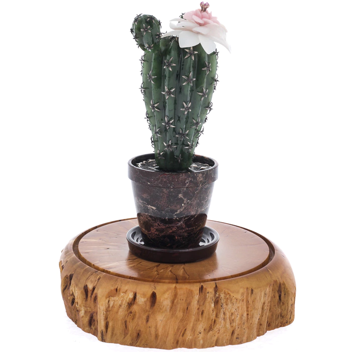 Artistic composition of jade and jasper "Cactus"