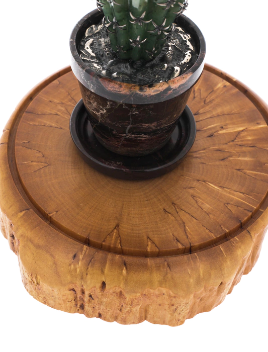 Artistic composition of jade and jasper "Cactus"