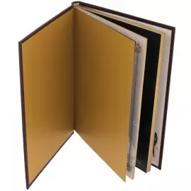 Подарочная книга "Книга власти, богатства и успеха" Златоуст