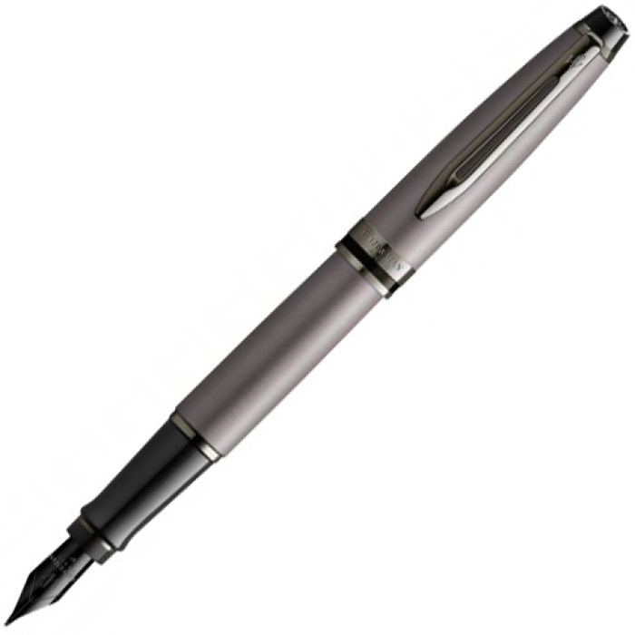 Перьевая ручка Waterman Expert Silver F BLK в подарочной упаковке