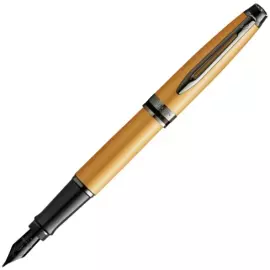 Перьевая ручка Waterman Expert Gold F BLK в подарочной упаковке