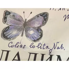 Книга «Лолита» с собственноручным рисунком, рукописным пожеланием и автографом Владимира Набокова