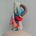 Lazy Wolly sculpture by Taras Zheltyshev