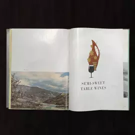 Книга "Wines and Cognacs of Georgia". Москва, Издательство Prodintorg, 1965 год