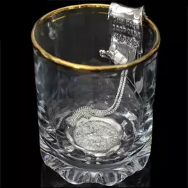 Silver water ionizer "Sirin Bird"