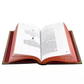 Книга в кожаном переплете  Роберт Грин "48 законов власти"