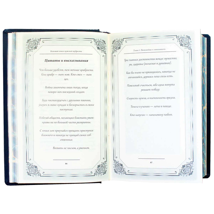 Gift book "The Big Book of male wisdom" with overlays