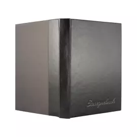 A5 leather-bound diary