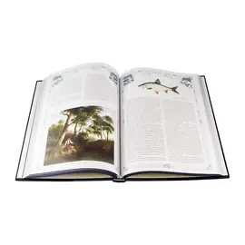 Подарочный набор "Щучий" с книгой "Большая книга русской рыбалки" и фигурки щуки