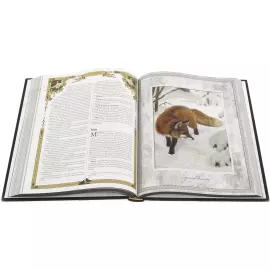 A gift set with a book and a panel "Hunting"