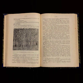 Книга «Очерки по лесоводству». Керн Э.Э., Москва, Новая деревня, 1929 год