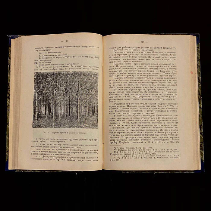 Книга «Очерки по лесоводству». Керн Э.Э., Москва, Новая деревня, 1929 год