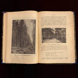 Книга «Очерки по лесоводству». Керн Э.Э., Москва, Новая деревня, 1929 год