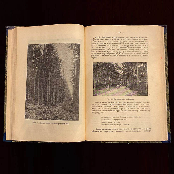 Книга «Очерки по лесоводству». Керн Э.Э., Москва, Новая деревня, 1929 год