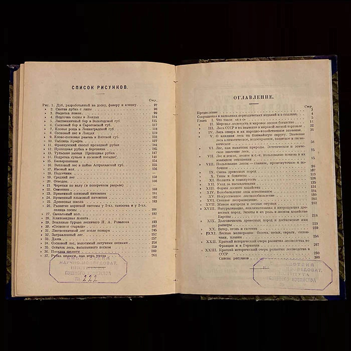 Книга «Очерки по лесоводству». Керн Э.Э., Москва, Новая деревня, 1929 год