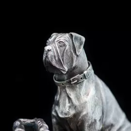 Серебряная визитница "Бордосский дог"