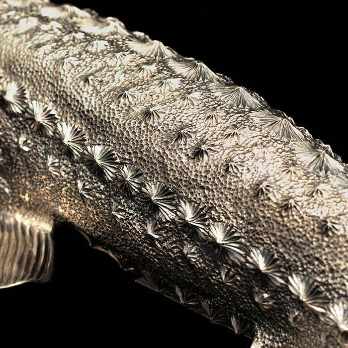 Caviar bowl "Sturgeon"