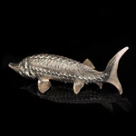Caviar bowl "Sturgeon"