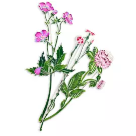 Silver brooch "Geranium of the forest" collection "Herbarium of Tatyana Polyakova"