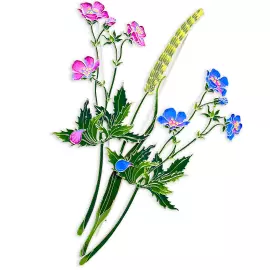 Silver brooch "Geranium of the forest" collection "Herbarium of Tatyana Polyakova"