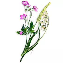 Silver brooch "Geranium of the forest" collection "Herbarium of Tatyana Polyakova"