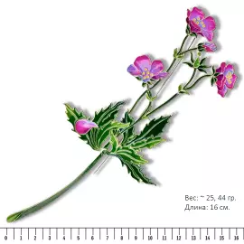 Silver brooch "Geranium of the forest" collection "Herbarium of Tatyana Polyakova"