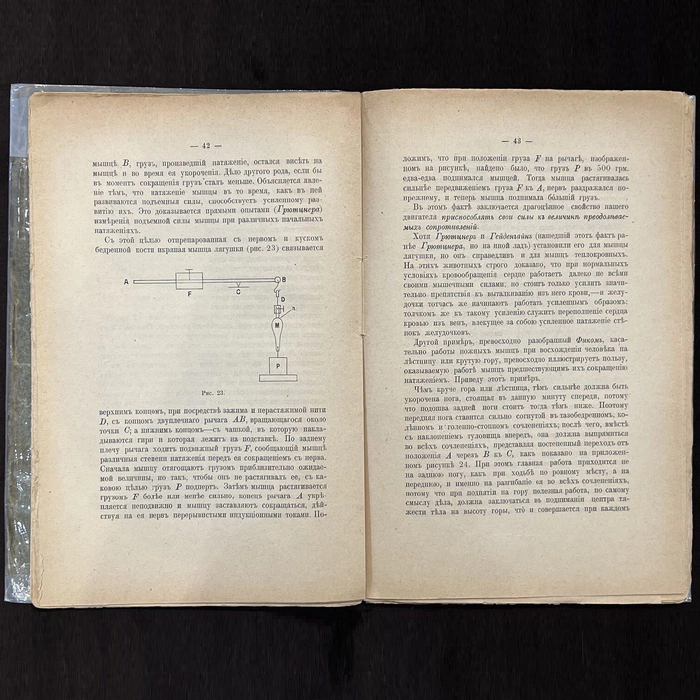 An autographed book. Ivan Sechenov