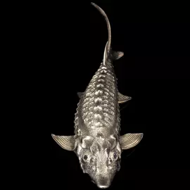 Икорница "Осетр" латунь с серебрением