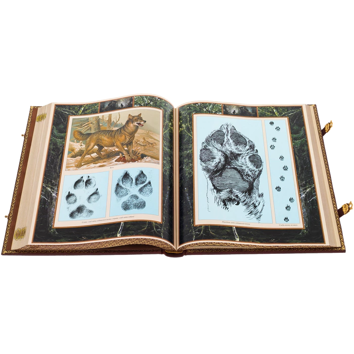 The leather-bound book "The Hunter's Handbook"