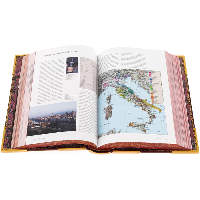 Gift set "Wine" with a glass and the book "Wine is the most complete illustrated encyclopedia" by Andre Domine